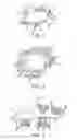 Fig. 02 - Structured silicon particles