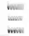 Fig. 06 - Oral composition for removing tooth stain