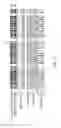 Fig. 10 - METHOD AND KIT FOR PROTOZOA CHARACTERIZATION