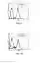 Fig. 07 - Methods of enhancing genetic diagnosis