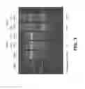 Fig. 04 - Production of recombinant proteins with simple glycoforms