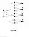 Fig. 06 - Production of recombinant proteins with simple glycoforms