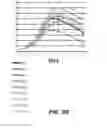 Fig. 12 - Production of recombinant proteins with simple glycoforms