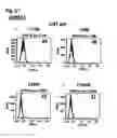 Fig. 05 - Nucleic acids that encode interleukin-6 receptor binding polypeptides
