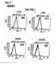 Fig. 06 - Nucleic acids that encode interleukin-6 receptor binding polypeptides