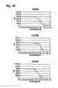 Fig. 30 - Nucleic acids that encode interleukin-6 receptor binding polypeptides