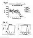 Fig. 53 - Nucleic acids that encode interleukin-6 receptor binding polypeptides
