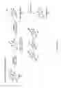 Fig. 04 - Sclareol and labdenediol diphosphate synthase polypeptides, encoding nucleic acid molecules and uses thereof