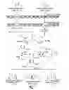Fig. 02 - Engineered strain of for production of poly-R-3-hydroxyalkanoate polymers with defined monomer unit composition and methods based thereon