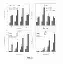 Fig. 14 - Hydrolytically Degradable Micellar Hydrogels