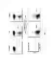 Fig. 22 - CAR+ T cells genetically modified to eliminate expression of T-cell receptor and/or HLA