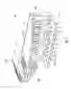Fig. 02 - Methods and apparatus for terminating wire wound electronic devices