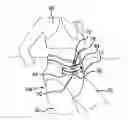 Fig. 01 - Floatation Garment Assembly