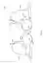 Fig. 06 - Adjustable breast support garment
