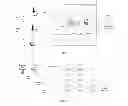 Fig. 02 - Method and system for selective and secure interaction of BYOD (bring your own device) with enterprise network through mobile wireless networks