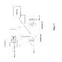 Fig. 02 - Barcode-based methods to enhance mobile multiplayer games