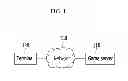 Fig. 02 - Server, method, terminal, and recording medium for providing game