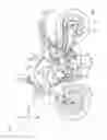 Fig. 02 - Internal combustion engine and motorcycle equipped with the engine
