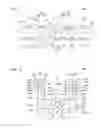 Fig. 09 - GUIDE FOR FLEXIBLE TRANSMISSION MEMBER