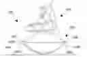 Fig. 01 - Exercise and sporting apparatus