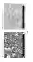 Fig. 02 - Process for preparing nickel based catalysts for SCR of natural gas