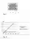 Fig. 06 - MULTI-CAPILLARY MONOLITH MADE FROM AMORPHOUS SILICA AND/OR ACTIVATED ALUMINA