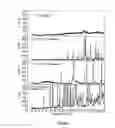 Fig. 09 - Coated dehydrated microorganisms with enhanced stability and viability