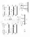 Fig. 10 - Detection of target nucleic acids using hybridization