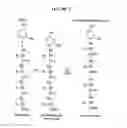 Fig. 02 - Identifying peptides at the single molecule level