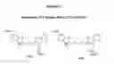 Fig. 09 - Identifying peptides at the single molecule level