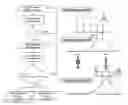 Fig. 01 - Real-time analysis for cross-linked peptides
