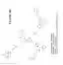 Fig. 04 - Real-time analysis for cross-linked peptides