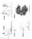 Fig. 10 - Real-time analysis for cross-linked peptides