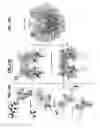 Fig. 22 - Real-time analysis for cross-linked peptides