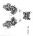 Fig. 27 - Real-time analysis for cross-linked peptides