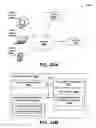 Fig. 34 - Real-time analysis for cross-linked peptides