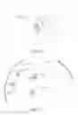 Fig. 07 - Systems and Methods for Immunosorbent Assay for Single and Multiple Analytes