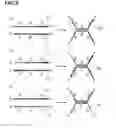 Fig. 07 - METHOD FOR DETECTING NUCLEOTIDE MUTATION, AND DETECTION KIT