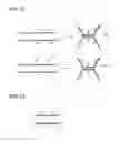 Fig. 09 - METHOD FOR DETECTING NUCLEOTIDE MUTATION, AND DETECTION KIT