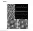 Fig. 08 - FORMATION OF A SUPRA-MONOLAYER NANOPATTERN AND ITS USES