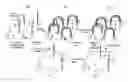 Fig. 01 - Preparation of templates for nucleic acid sequencing
