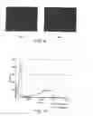 Fig. 09 - Preparation of templates for nucleic acid sequencing