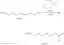 Fig. 10 - Preparation of templates for nucleic acid sequencing
