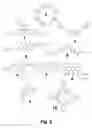Fig. 08 - Targeted antimicrobial moieties