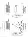 Fig. 28 - Multivalent fibronectin based scaffold domain proteins