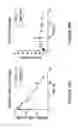Fig. 32 - Multivalent fibronectin based scaffold domain proteins