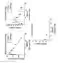 Fig. 33 - Multivalent fibronectin based scaffold domain proteins