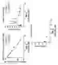 Fig. 35 - Multivalent fibronectin based scaffold domain proteins