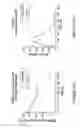 Fig. 40 - Multivalent fibronectin based scaffold domain proteins