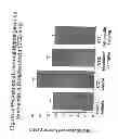 Fig. 06 - TREATMENT USING NEUBLASTIN POLYPEPTIDES